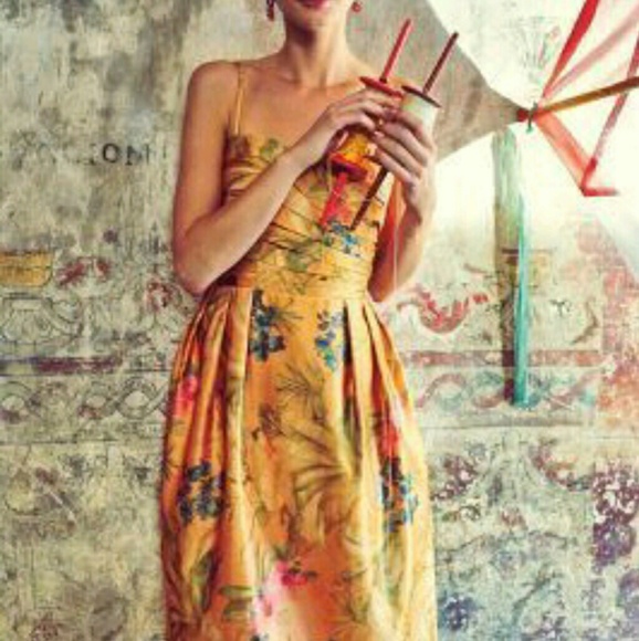 Anthropologie James Coviello Botanica Dress - Picture 2 of 8